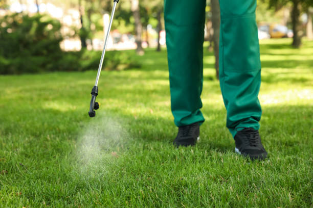 Best Local Pest Control Services  in Corpus Christi, TX