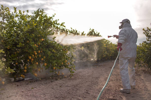 Wildlife Control Services in Corpus Christi, TX