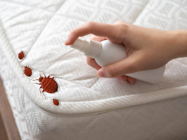 Best Commercial Pest Control Services  in Corpus Christi, TX
