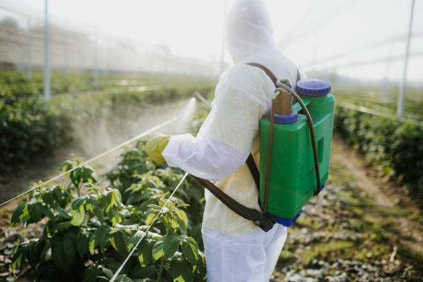 Best Mosquito Control Services  in Corpus Christi, TX